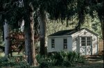 Unforgettable Summer Memories Await - The Backyard Studio Comes with Beach Gear, Yard Games, and More
